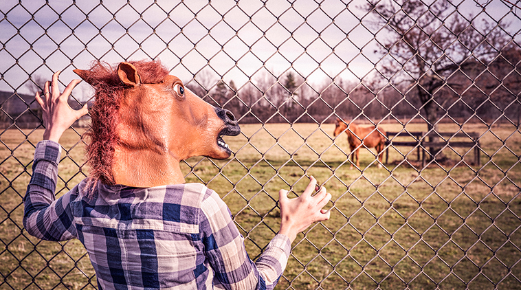 01_Horse