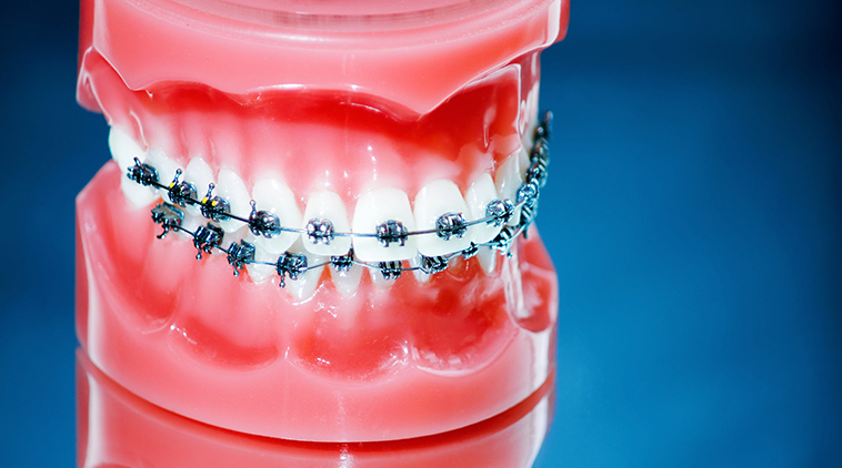 16_Orthodontist