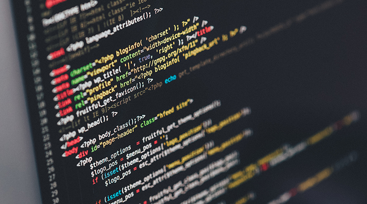 25_Developer